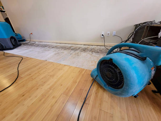 Reliable Basement Flood Cleanup contractor in Locust, NC by Hirex Water Damage