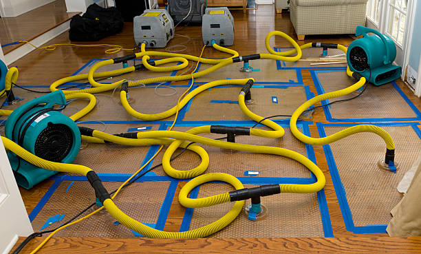 Professional Basement Flood Cleanup technician working in Locust, NC